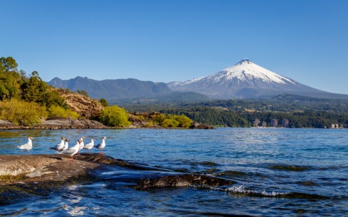 Lago villarrica toma de razon