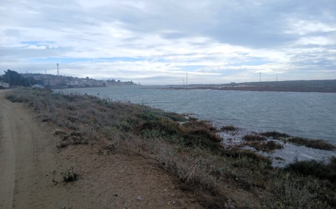 Humedales tongoy