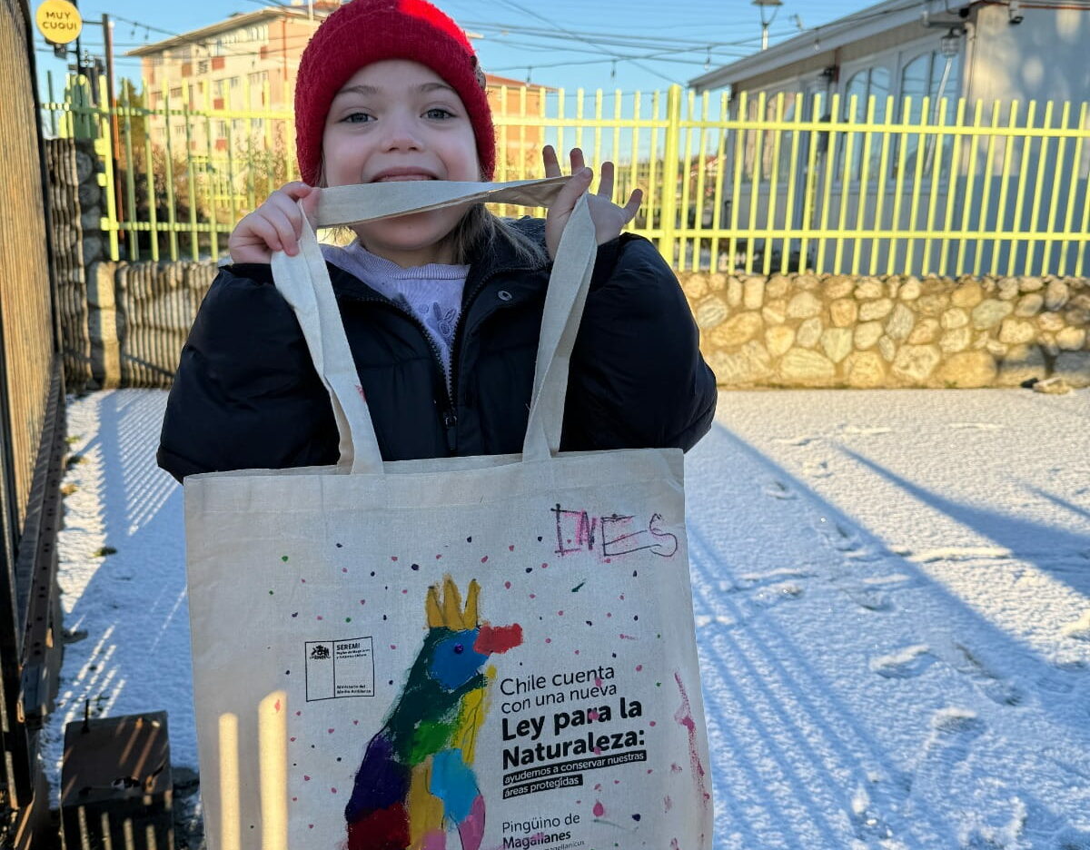 Pinta tu bolsa nina