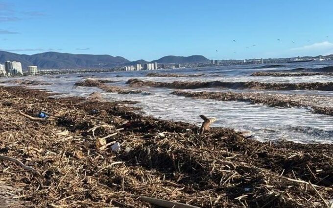 Playa coquimbo limpieza