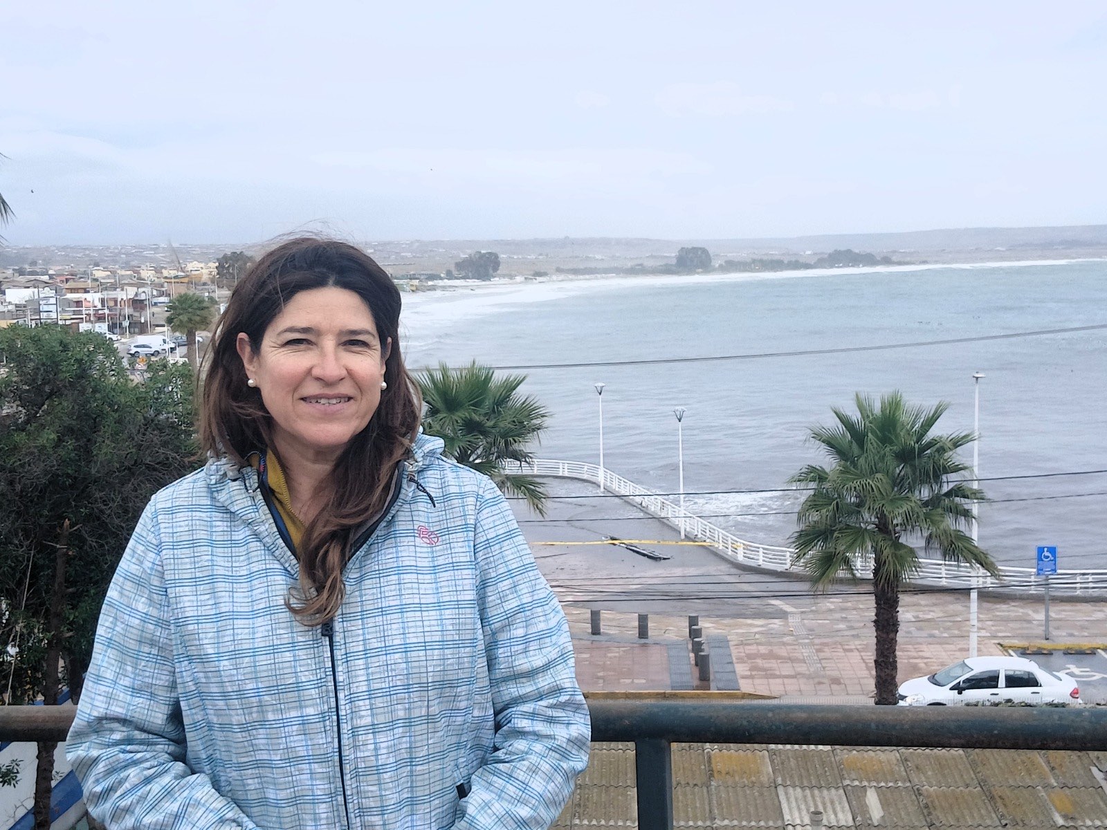 Seremi coquimbo 1