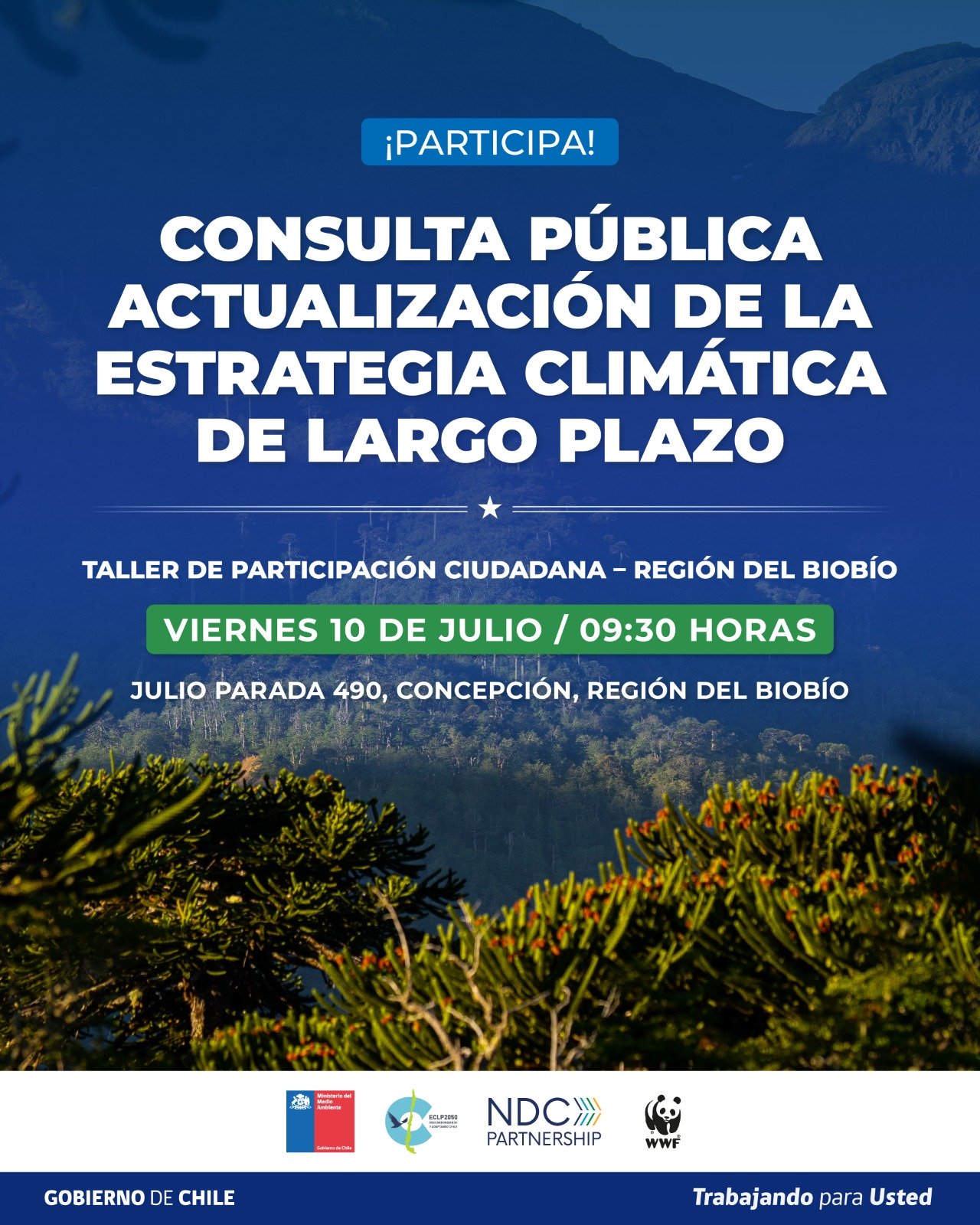 Cpc largoplazo