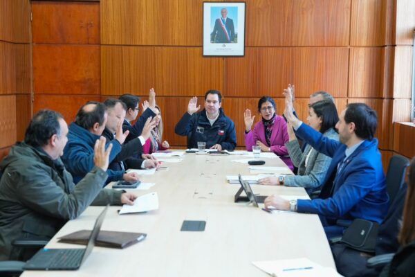 Coeva aprueba proyecto Parque Eólico Andino Suiza con una inversión de 172 millones de dólares