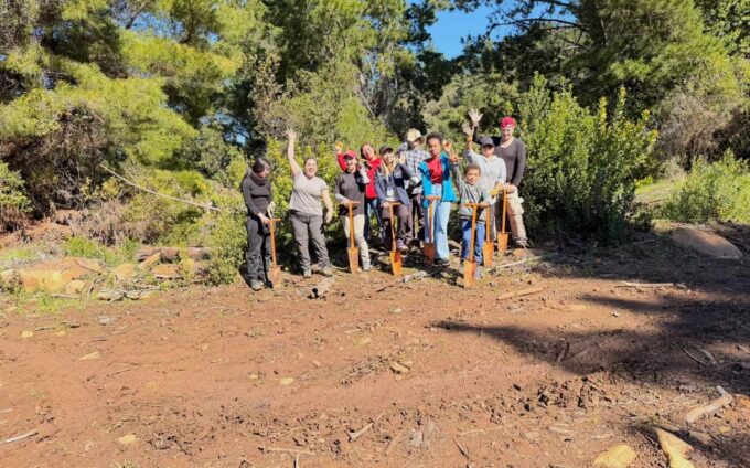 Reforestacion nuble